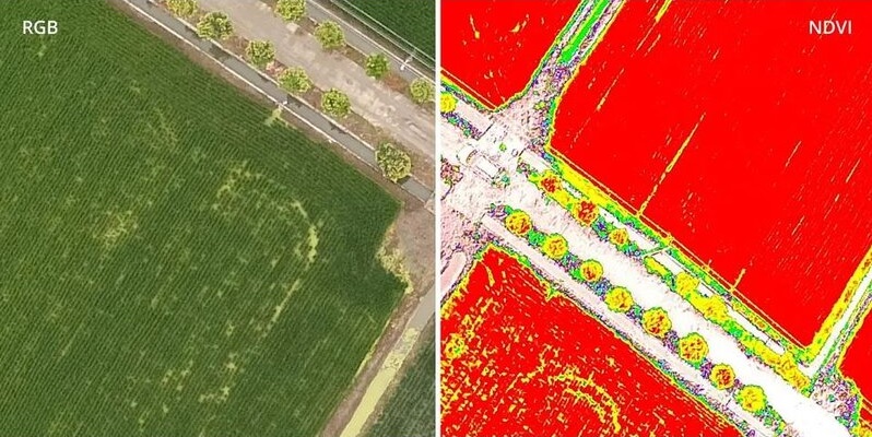 NDVI-RGB